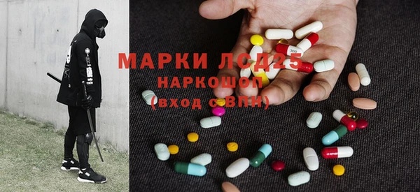 ECSTASY Новодвинск