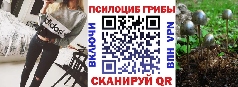 Псилоцибиновые грибы мицелий  Купить  Холмск 