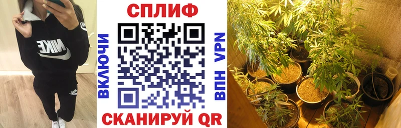 Бошки марихуана план  Купить закладки  Холмск 